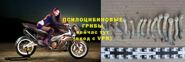 дмт Абинск