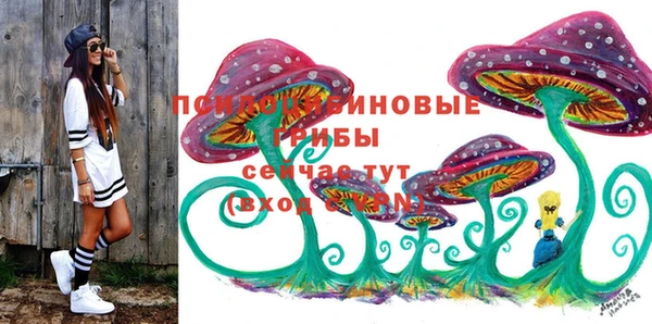 гидра Алексин